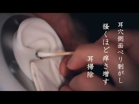 【ASMR 無言｜耳ふー】耳穴カサつくパリ剥｜無性に指突っ込みたなって痒みを悪化させるグリグリねたくる。シチュエーション的ゴリゴリ耳掃除withカエル｜ Earpick + Ear Blowing