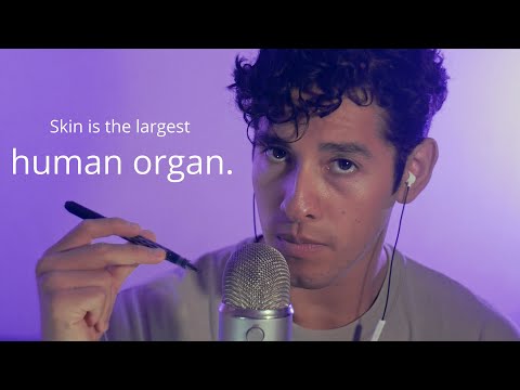Fact or Cap? (Interactive ASMR Guessing Game)