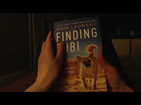ASMR ~ First Person View Semi Inaudible Reading Whispers