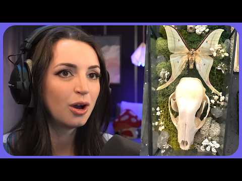 1.5 Minute ASMR | My Viewer's Incredible Bone Art Collection!