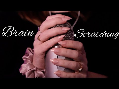 [ASMR] Mic Scratching (Slow & Sensitive) ⎹ No Talk - Deep Brain Massage 💕