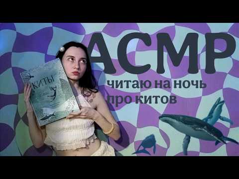 LO-FI АСМР ПОЧИТАЮ ТЕБЕ ПЕРЕД СНОМ || книга "Киты и мы" с картинками и интересными фактами 🐳⛵