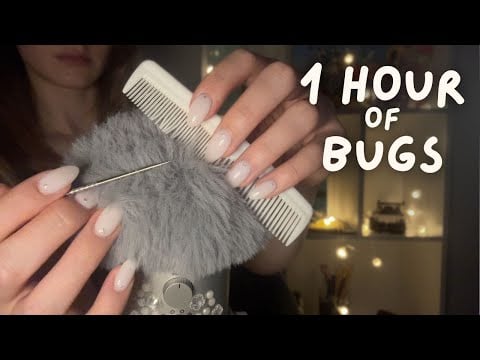 1 HOUR BUG SEARCH💆‍♀️🪮🐛(Aggressive + Intense Scalp Check) ASMR