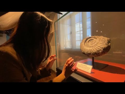 PUBLIC ASMR at Museum of Natural History 🐊🌴🏕️