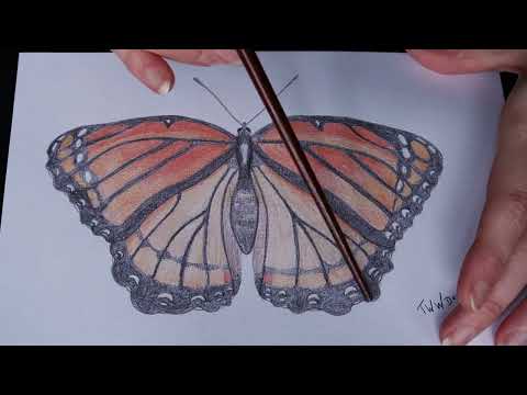 ASMR Sparkles & Slow Line Tracing on My Drawings ~ Soft Spoken