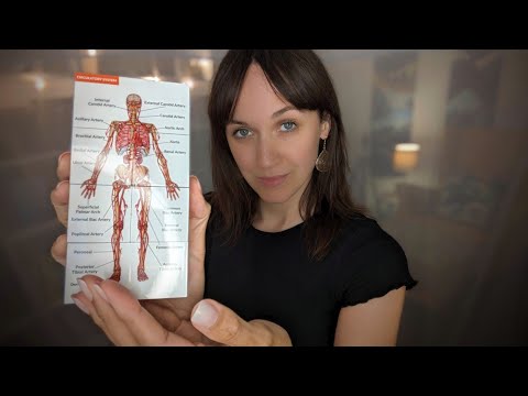 ASMR Anatomy Class Pop Quiz! 👩🏻‍🏫