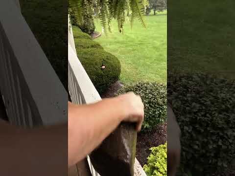 ASMR | Giving a rock a massage in the rain #asmr