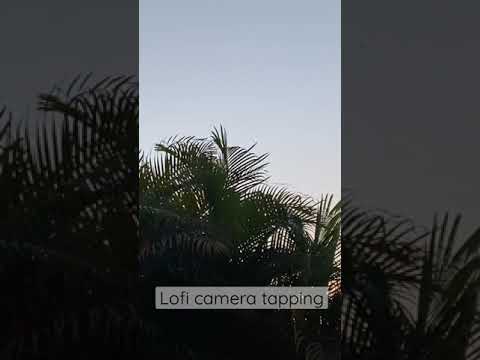 ASMR Lofi Camera tapping outside at sunset #asmr #shorts #asmrtapping #tapping