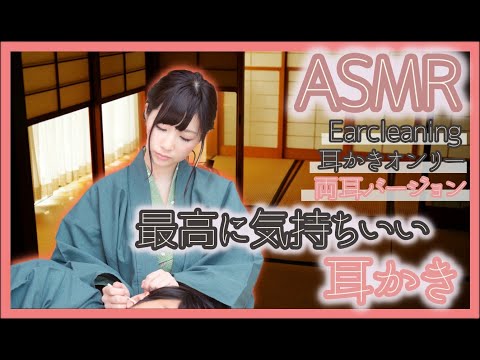 【ASMR Ear Cleaning】眠る前に聴いてほしい鼓膜まできれいになりそうな耳かき音【両耳版】