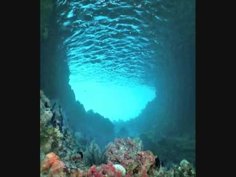 whisper 76
