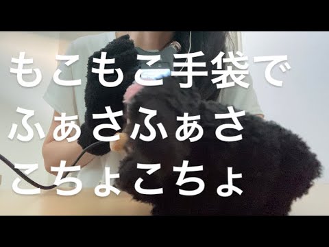 ASMR もこもこ手袋でこちょこちょ【request movie 】