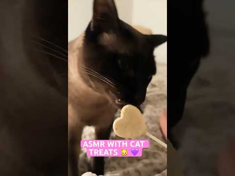 ASMR With Cat Treats #catasmr #treats #cattreats #asmr #cats #catvideos #cateating #catlovers