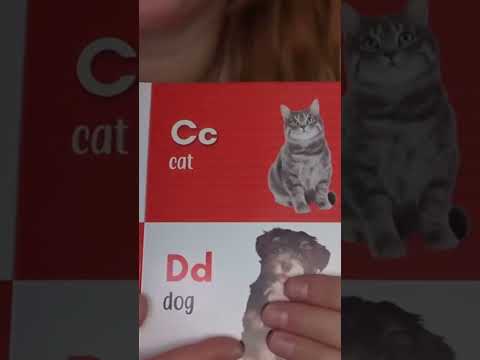 asmr quirky Alysaa style