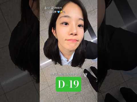 회사 없어지기 D-19일 내 첫 회사 용산으로의 1101일의 출퇴근길  #20대 #백수 #취업
