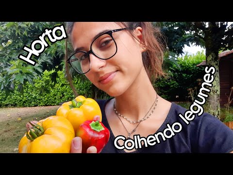 ASMR NA HORTA 🌱🍅