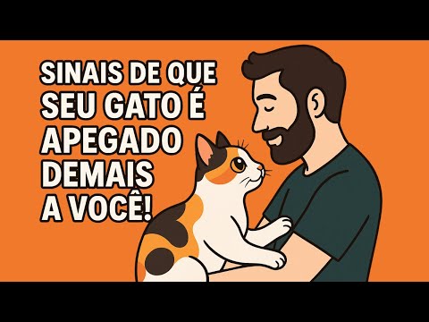 10 Sinais de que seu gato não aguenta ficar sem você 🐾