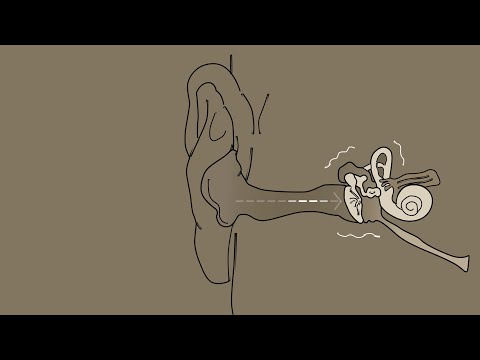 피큐가 말아주는 고막카세 👂 𝗔𝗦𝗠𝗥