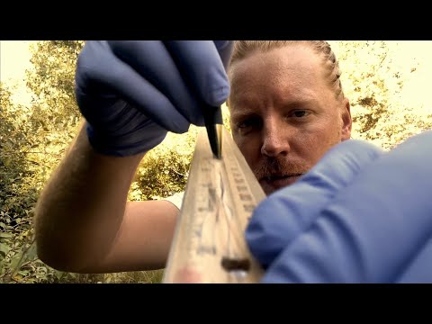 ASMR Outside Cranial Nerve Exam | Fast vs Slow
