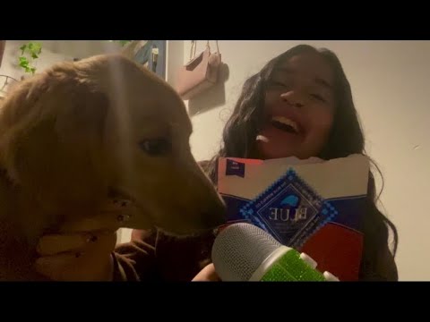 My dog tries ASMR