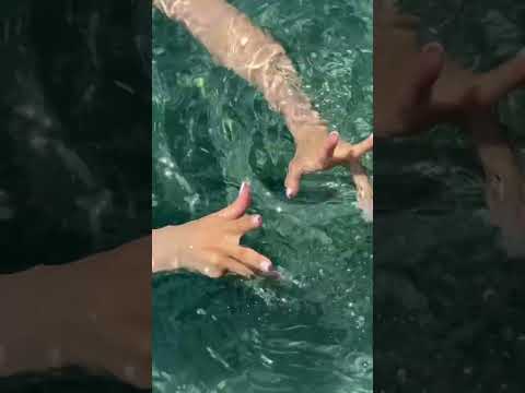 #asmr #asmrvideo #asmrrelax #asmrsounds