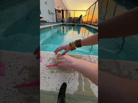 asmr who dos it better? #asmr #fyp #lofiasmr