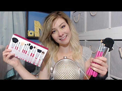 ASMR Brushing the Mic Assortment of Brushes