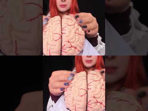 ASMR 🧠 BRAIN TINGLES... Literally! Sleep & Relaxation #asmr #shorts