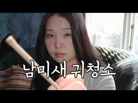 해외여행 남미새의 귀청소 asmr