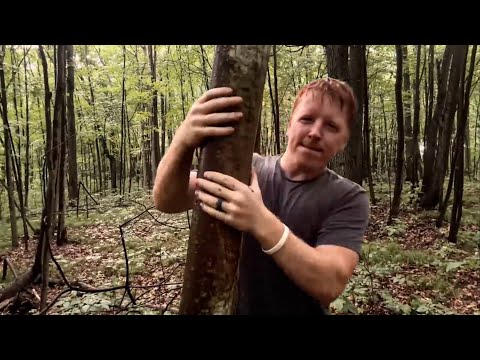 ASMR | Giving the Trees a Massage 🌳🌲