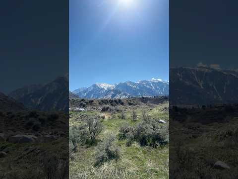 Mountain View on my morning walk😍 #asmr #mountainview #peaceful