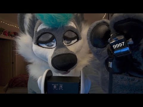 What Happens After 9999 Clicks? [Furry ASMR]