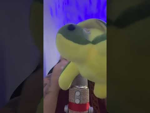 ASMR Lamatraca 🐢💤 #asmr #asmrcommunity #asmrtingles