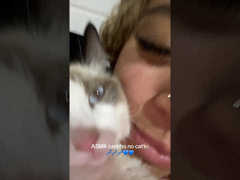 asmr com o pudim, 🐱💤💤💤💙