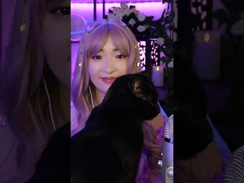 Pogo le chat fait de l'ASMR
