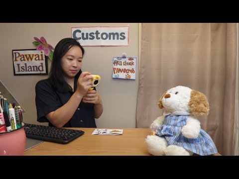 ASMR  Weird Airport Customs Role Play (soft spoken)