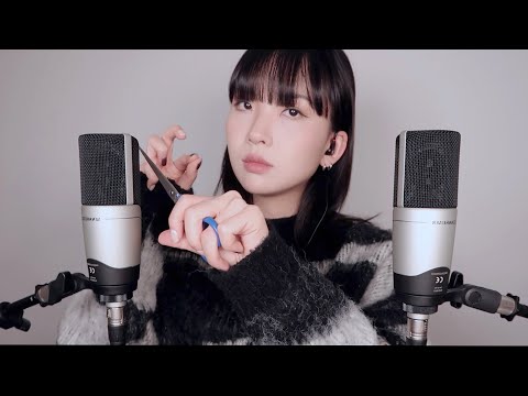 ASMR 새로운 마이크 테스트🎙 (젠하이저 MK4) | New Microphone Test ASMR (Sennheiser MK4)