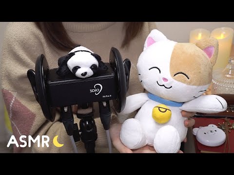 [小声-ASMR] 華凛ちゃんとのコラボ動画を投稿しました！※ネタバレ雑談