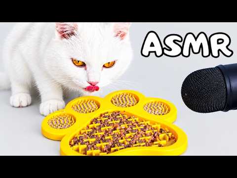ASMR Mukbang - Cat Lick Mat Slow Feeder | Satisfying Sounds!