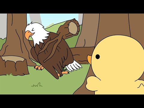 duckling treats an eagle | ASMR animation