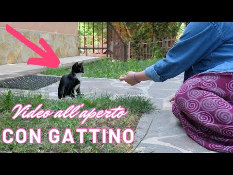 VIDEO IN GIARDINO con OSPITE ASMR ITA