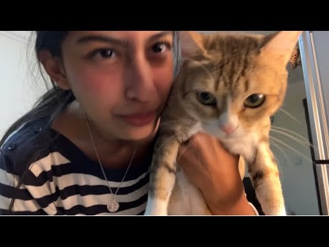 ASMR 1 minute SILLY cranial nerve exam ^_^