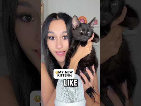 WAIT for IT.. 🥹🥹 #asmr #explore #trending #satisfying