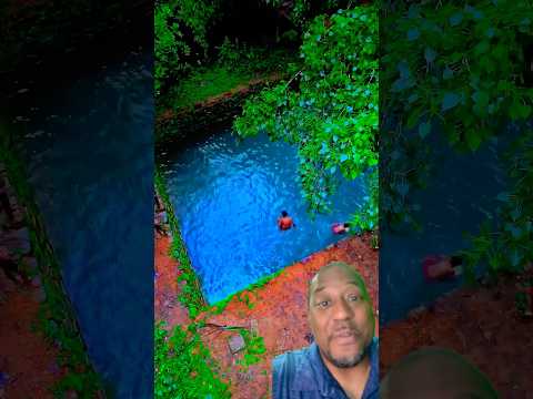 They Found a Secret Jungle Pool… and THIS Happened