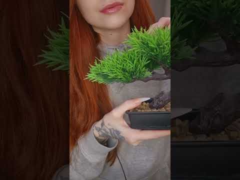 fake plant asmr💚#asmrvideo #relax #fakeplants #asmr #asmrsounds #plantasmr #tappingtriggers #relax