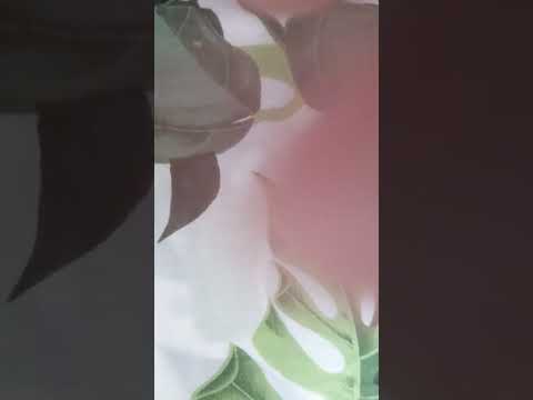 ASMR Camera Tapping Fast and Aggressive