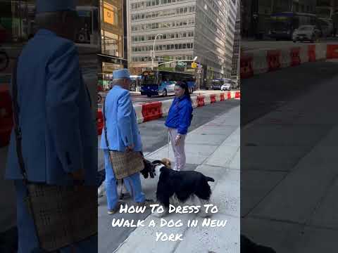 How To Dress To Walk a Dog in New York