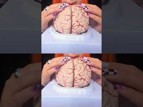 ASMR Brain Massage | Relaxing 3D Sounds for Mind Healing & Deep Focused #shortvideo #shorts