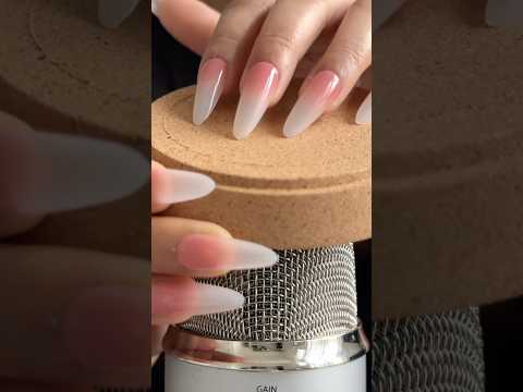 ASMR Tapping & Scratching On Random Things 🌙