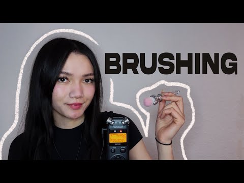 ASMR Tascam  dr05 Brushing (No Talking)