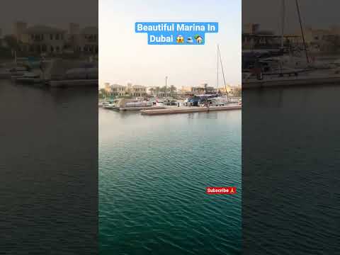 Beautiful Marina In Dubai 😱🛥🏡 #shorts #marina #dubai #viral